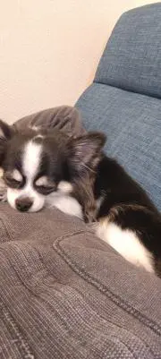 たぁの画像