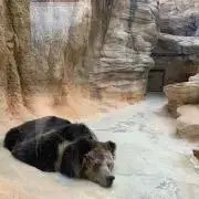 あいあんまんの画像