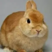 よー。
