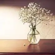 corniceの画像
