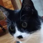 まーちるの画像