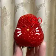 ベリストの画像