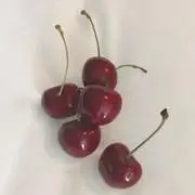 あさひの画像