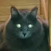 れいリ