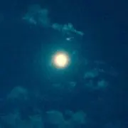 ルート