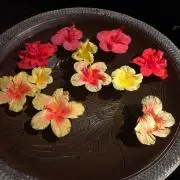 ⭐︎まりも⭐︎の画像