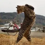 はぎお
