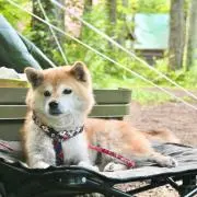 ohanaの画像