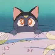はちの画像