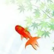 金魚屋
