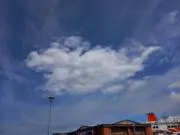 くまみの画像