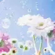 Konoeの画像