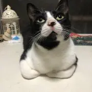 ♡ 茶々丸☆(プロフご覧下さい)