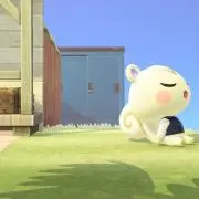 おちゃまるの画像