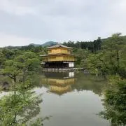 レイボーの画像