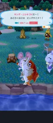mimiの画像