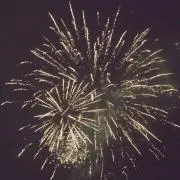 ジョーの画像