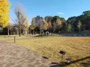 はるかぜの画像