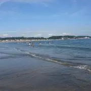 さーの画像
