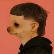 ココの画像