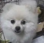 ゆっぴ