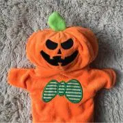 アチャちゃん☆の画像