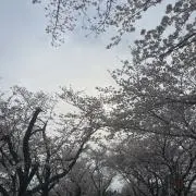 オラフの画像