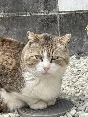 秀意hideoki0315の画像