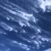 レイニーの画像