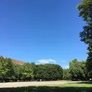 こどものことの画像