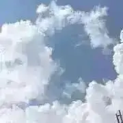 まろん＊ころんの画像