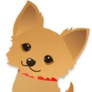 まとと ※必ずプロフ見て購入して下さい！の画像