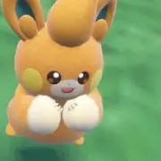 ぶひまるの画像