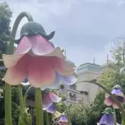 omoの画像