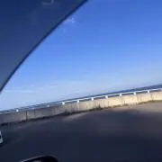 とんちゃん