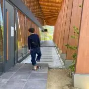 Yoshiの画像