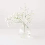 スヌーピー