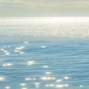 シエルの画像