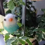澪 プロフ必読ID記載不可