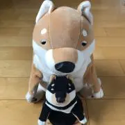 AZUMA 出品中の画像