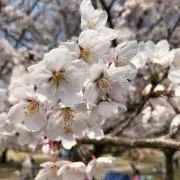 Hirami1122の画像
