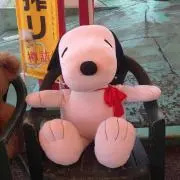 ★i . T ★断捨離中！の画像