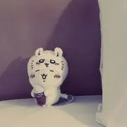 よゆすの画像