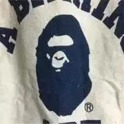 レオテーラーの画像