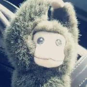 はむこ。