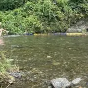 マツモト
