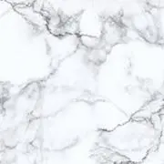 529の画像