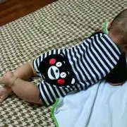 どんちゃん