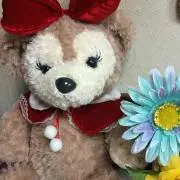 こやしぃ♡の画像
