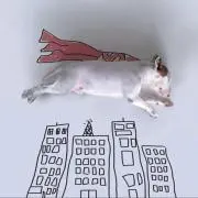まつきの